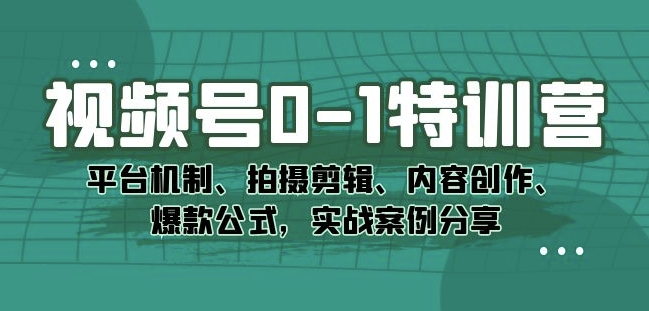 视频号0-1特训营：平台机制、拍摄剪辑、内容创作、爆款公式，实战案例分享-萝卜兔资源站