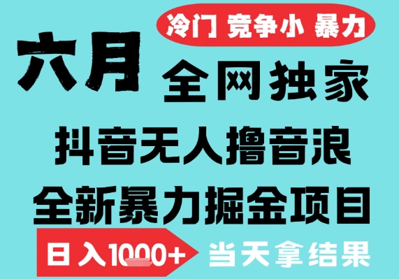 2025年6月高爆抖音无人直播最新撸音浪掘金项目，无脑日入1k+，低门槛小白可做，可矩阵放大【揭秘】-萝卜兔资源站