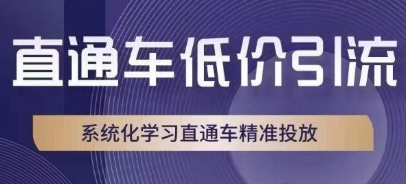 直通车低价引流课，系统化学习直通车精准投放-萝卜兔资源站