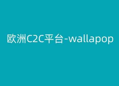 欧洲C2C平台-wallapop-kim跨境电商教程-萝卜兔资源站