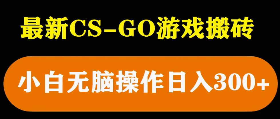 最新csgo游戏搬砖游戏，无需挂机小白无脑也能日入300+-萝卜兔资源站