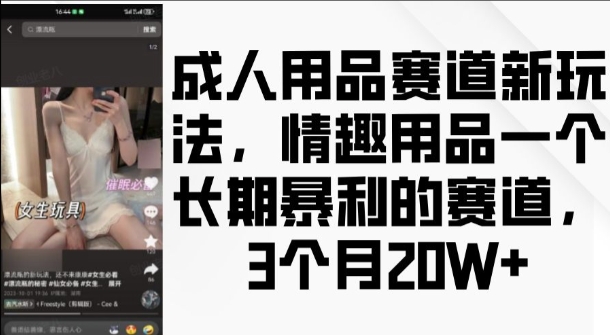 成人用品赛道新玩法，情趣用品一个长期暴利的赛道，3个月收益20个【揭秘】-萝卜兔资源站