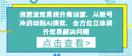信息流效果提升集训营，从账号冷启动到AI提效，全方位立体提升效果解决问题-萝卜兔资源站
