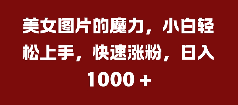 美女图片的魔力，小白轻松上手，快速涨粉，日入几张【揭秘】-萝卜兔资源站