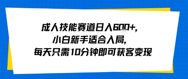 成人技能赛道日入多张，小白新手适合入局，每天只需10分钟即可获客变现-萝卜兔资源站