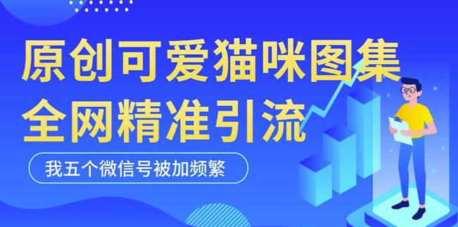 黑科技纯原创可爱猫咪图片，全网精准引流，实操5个VX号被加频繁-萝卜兔资源站