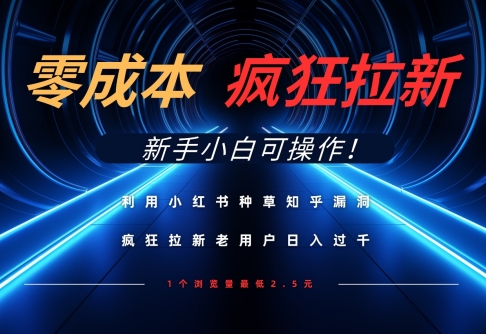 利用小红书种草知乎漏洞，零成本疯狂拉新日入数张，新手小白可操作-萝卜兔资源站