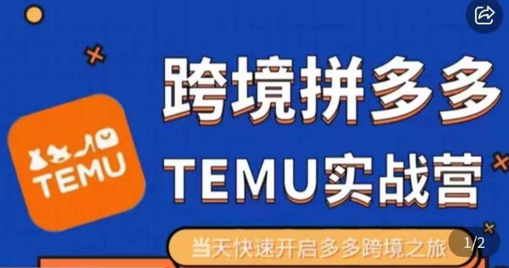 大鹏出海·拼多多跨境temu运营指导，开店注册+选品+核价上架，日出千单实战课-萝卜兔资源站