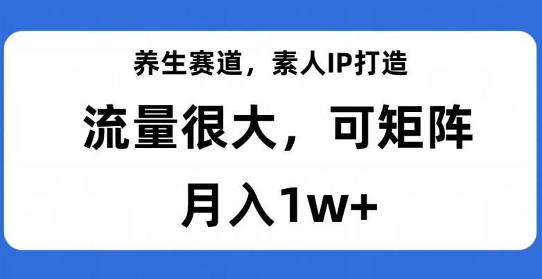 养生赛道，素人IP打造，流量很大，可矩阵，月入1w+【揭秘】-萝卜兔资源站