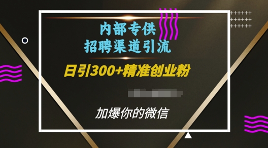 内部招聘渠道日引流300+创业粉，加爆你的微信【揭秘】-萝卜兔资源站