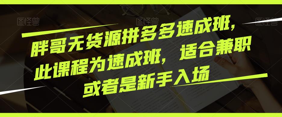 胖哥无货源拼多多速成班，此课程为速成班，适合兼职或者是新手入场【揭秘】-萝卜兔资源站