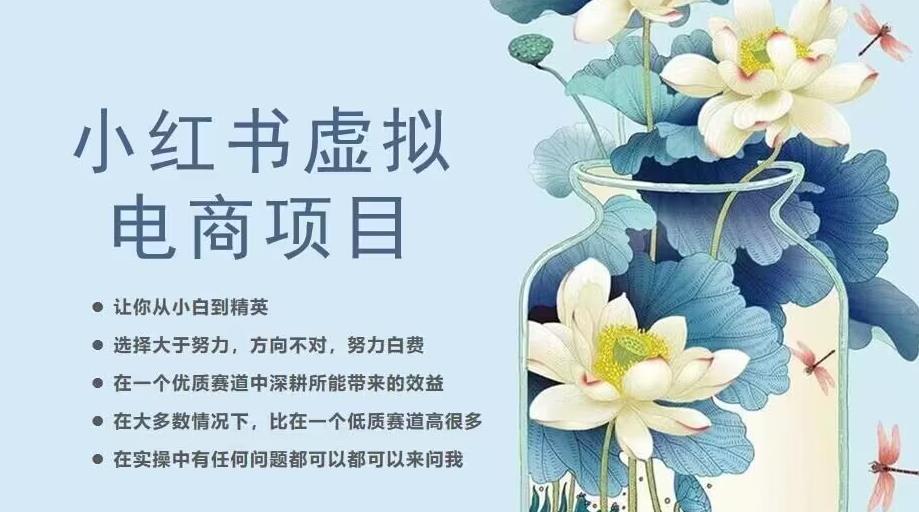 小红书虚拟电商从0到1，让你从小白到精英（20节实操课程）-萝卜兔资源站