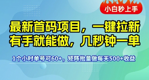 最新首码项目，一键拉新有手就能做，几秒钟一单，1个小时单号可60+，矩阵批量做每天5张【揭秘】-萝卜兔资源站