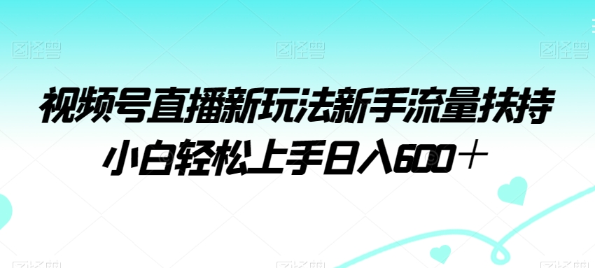 视频号直播新玩法新手流量扶持小白轻松上手日入600＋【揭秘】-萝卜兔资源站