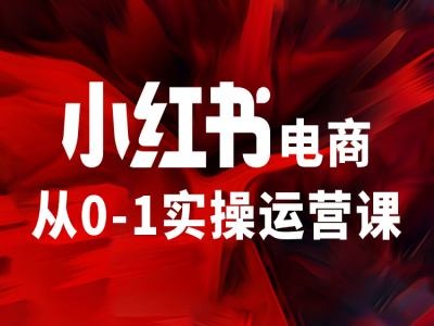 小红书电商从0-1实操运营课，让你从小白到精英-萝卜兔资源站