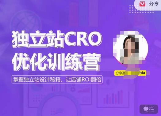 独立站CRO优化训练营，掌握独立站设计秘籍，打造高转化的独立站，让店铺ROI翻倍-萝卜兔资源站