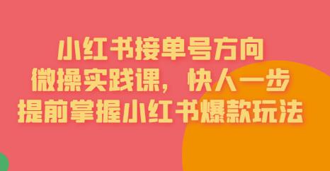 接单号方向·小红书微操实践课，快人一步，提前掌握小红书爆款玩法-萝卜兔资源站