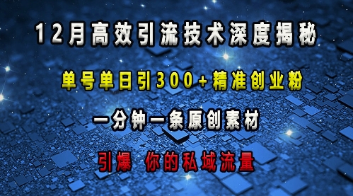 最新高效引流技术深度揭秘 ，单号单日引300+精准创业粉，一分钟一条原创素材，引爆你的私域流量-萝卜兔资源站