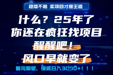 什么？25年你还在疯狂找项目做，醒醒吧，看完这些你全都懂了！【揭秘】-萝卜兔资源站