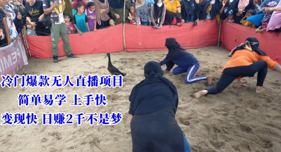冷门爆款无人直播项目，简单易学上手快，变现快日赚2千不是梦【揭秘】-萝卜兔资源站