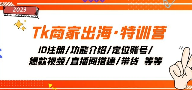 Tk商家出海·特训营：ID注册/功能介绍/定位账号/爆款视频/直播间搭建/带货-萝卜兔资源站