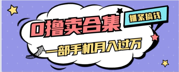 0撸项目月入过万，售卖全套ai工具合集，一单29.9元，一部手机即可【揭秘】-萝卜兔资源站
