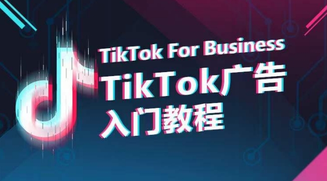 TikTok广告入门教程，从0到1掌握TikTok投放的全流程-萝卜兔资源站