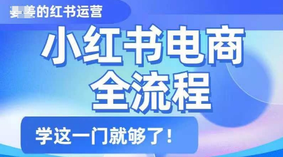 小红书电商全流程，精简易懂，从入门到精通，学这一门就够了-萝卜兔资源站