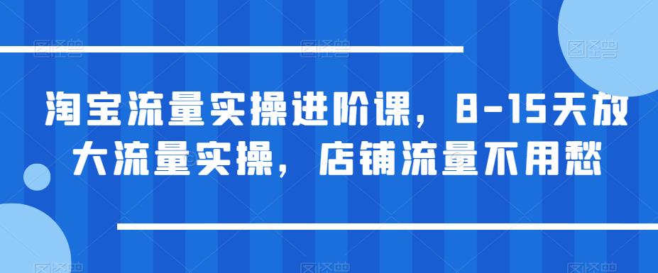 淘宝流量实操进阶课，8-15天放大流量实操，店铺流量不用愁-萝卜兔资源站