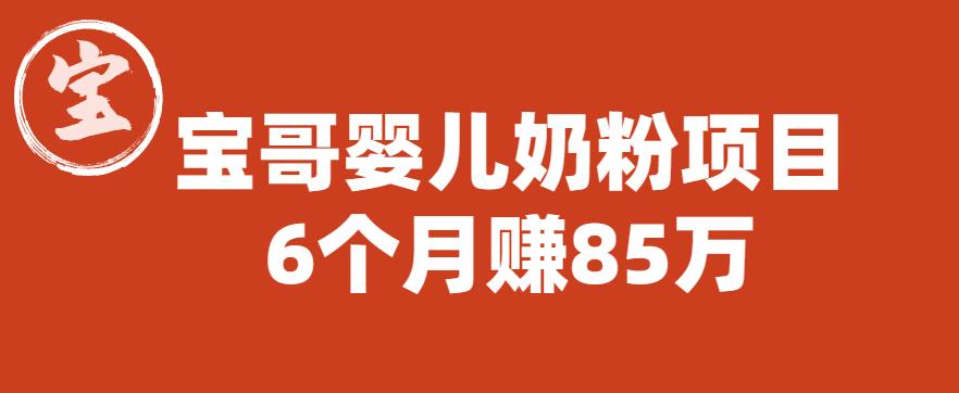 宝哥婴儿奶粉项目，6个月赚85w【图文非视频】【揭秘】-萝卜兔资源站
