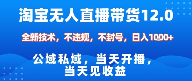 淘宝无人直播12.0,公域私域技术,不封号,不违规布局双十一流量风口,日入1k(独家技术)【揭秘】-萝卜兔资源站