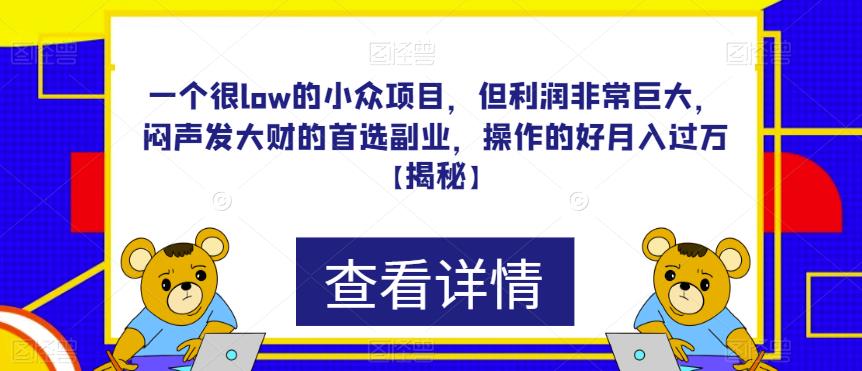 一个很low的小众项目，但利润非常巨大，闷声发大财的首选副业，操作的好月入过万【揭秘】-萝卜兔资源站