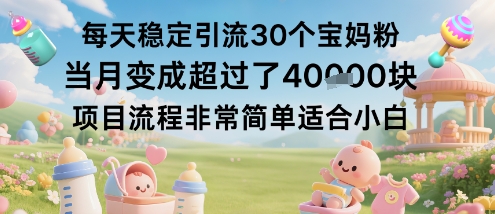 每天稳定引流30个宝妈粉当月变成超过了1W+项目流程非常简单适合小白-萝卜兔资源站