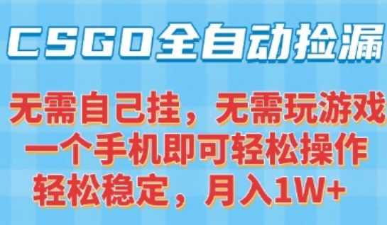 CSGO自动捡漏项目，最新独家玩法，一个手机可操作，新手小白轻松月入1W+，操作简单易上手【揭秘】-萝卜兔资源站