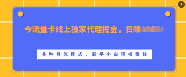 流量卡线上独家代理掘金，日入1k+ ，多种引流模式，新手小白轻松上手【揭秘】-萝卜兔资源站