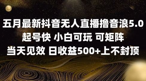 2025五月最新无人直播撸音浪单日产出5张+实操教程【揭秘】-萝卜兔资源站