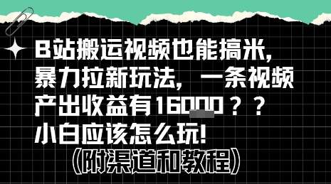 b站掘金计划？搬运视频也能挣拉新的收益，小白应该怎么玩！-萝卜兔资源站