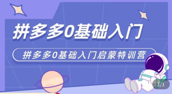 六一电商·拼多多运营0-1实操特训营，拼多多从基础到进阶的可实操玩法-萝卜兔资源站