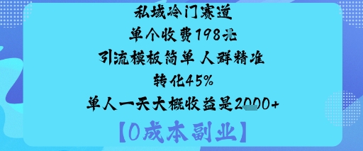 私域冷门赛道:单个收费198米引流模板简单人群精准转化45%单人一天大概收益是1k+-萝卜兔资源站