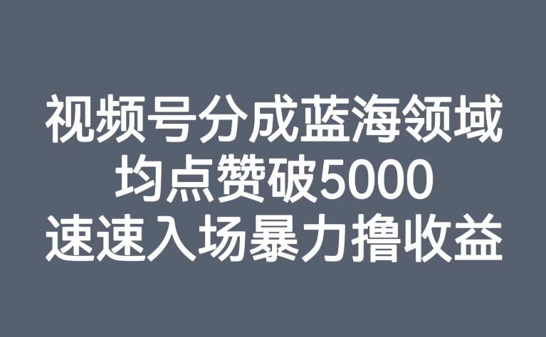 视频号分成蓝海领域，均点赞破5000，速速入场暴力撸收益-萝卜兔资源站