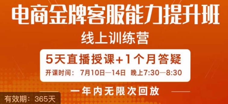 电商金牌客服能力提升班，提升客服能力是你店铺业绩的关键要素-萝卜兔资源站