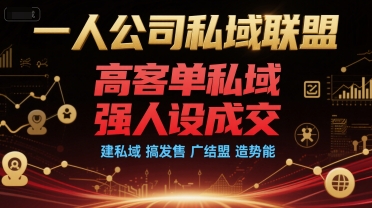 一人公司私域联盟，高客单私域，强人设成交，建私域 搞发售 广结盟 造势能-萝卜兔资源站