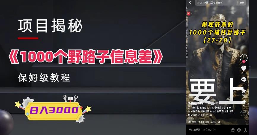 1000个野路子信息差保姆式教程-单日变现3000+的玩法解密-萝卜兔资源站