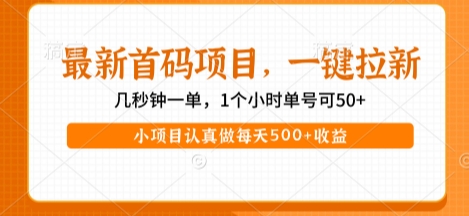 最新首码项目，操作最简单，收益高，一键拉新，1个小时单号可50+，小项目认真做每天5张+收益【揭秘】-萝卜兔资源站