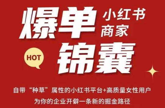 无畏·小红书商家爆单锦囊，掌握小红书各大规则，快速精准抢占行业和市场【揭秘】-萝卜兔资源站