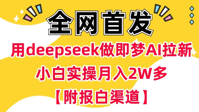 用deepseek做即梦Ai拉新 小白实操月入过W+【附报白渠道】-萝卜兔资源站