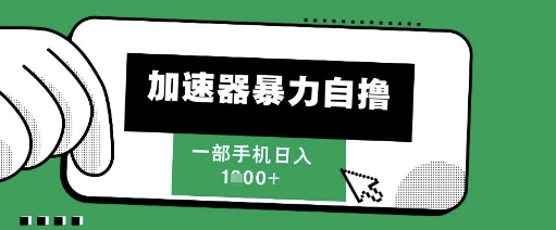205新风口，加速器暴力自撸，单机日入1k+【揭秘】-萝卜兔资源站