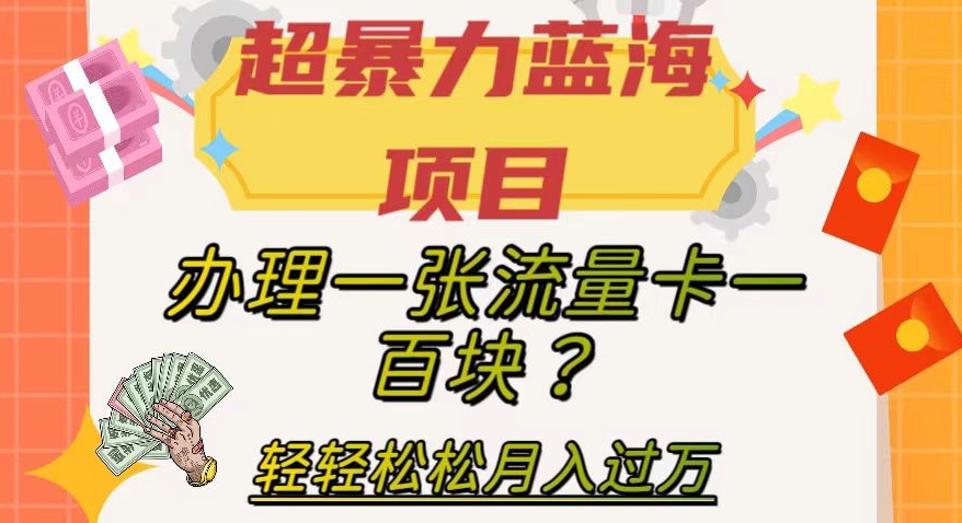 超暴力蓝海项目，办理一张流量卡一百块？轻轻松松月入过万，保姆级教程【揭秘】-萝卜兔资源站
