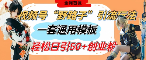 视频号“野路子”玩法，评论区疯狂截流，一套模板单日单号引流50+创业粉-萝卜兔资源站