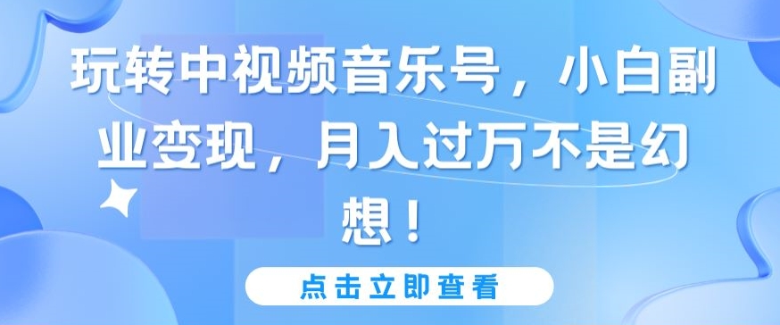玩转中视频音乐号，小白副业变现，月入过万不是幻想【揭秘】-萝卜兔资源站